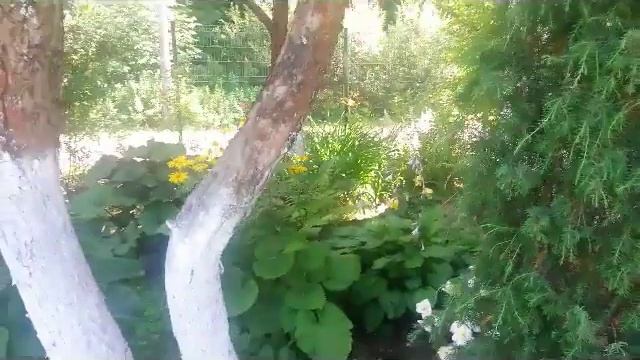 Дача 8 км от МКАД Волоколамское ш САДИК ЗА ДОМОМ смотреть онлайн