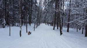 Снежный апрель в Санкт-Петербурге