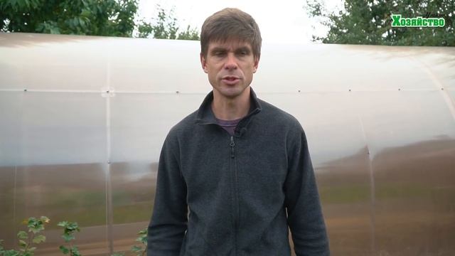 Срочный выпуск! Когда сажать озимый чеснок? смотреть онлайн