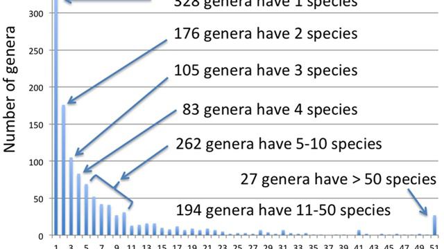 Name of a biological genus | Wikipedia audio article смотреть онлайн
