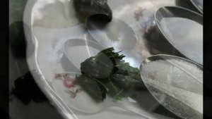 Пряная хамса быстрого посола.