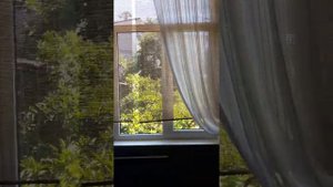 Абхазия. Гагра. Гостевой дом Жемчужина взморья.