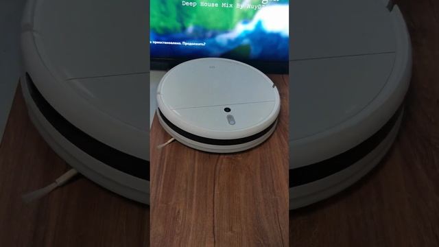 Робот-пылесос Xiaomi Mi Robot Vacuum-Mop STYTJ01ZHM