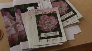 Tutto pronto per la 55° edizione della mostra della camelia a Verbania, il 25 e 26 marzo