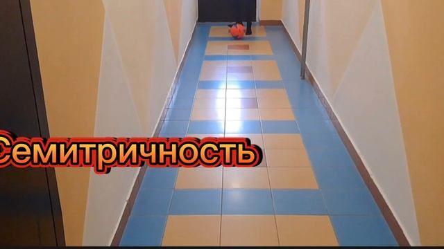 Обзор на мяч Demix Hybrid IMS⚽️ смотреть онлайн