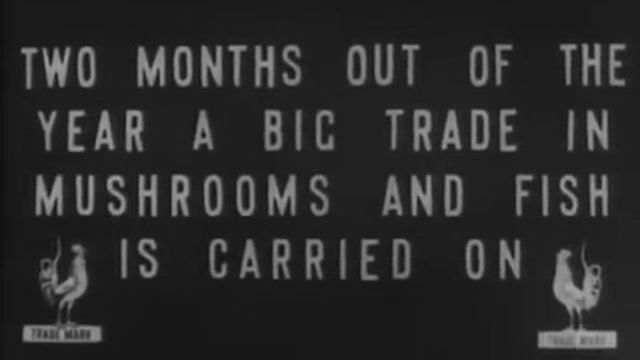 Вид Москвы 1908 года смотреть онлайн