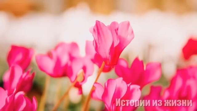 Дальнобойщик решил сделать жене сюрприз и вернулся из рейса без предупреждения...