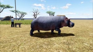 ALL HIPPO FOOTAGE! Wild Savannah Roblox