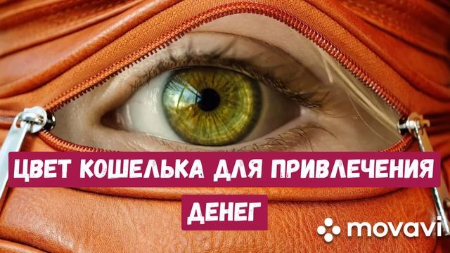 ЦВЕТ КОШЕЛЬКА для привлечения ДЕНЕГ.