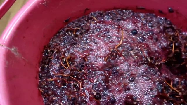 САМЫЙ ПРОСТОЙ СПОСОБ приготовления вина из ВИНОГРАДА своими руками