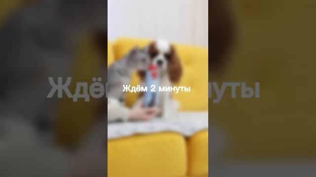 Как использовать сухой шампунь Amirlen