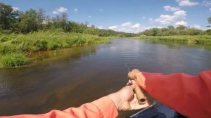 ЖЕРЕХ и ГОЛАВЛЬ на спиннинг летом! Рыбалка на голавля! Жерех на спиннинг! Рыбалка на голавля летом!