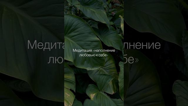 Медитация «наполнение любовью к себе» смотреть онлайн