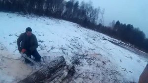 Заготовка дров в лесу