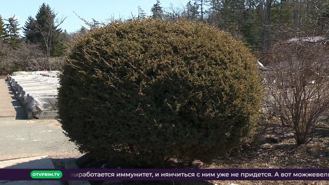 Такого в каждом дворе не встретишь! / Квадратные метры смотреть онлайн