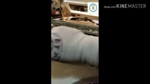 Как демонтировать переднюю панель на стиральной машинке