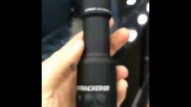 Как видно в тепловизор Leupold? смотреть онлайн