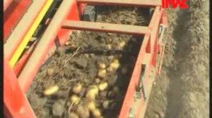 Машина для уборки картофеля