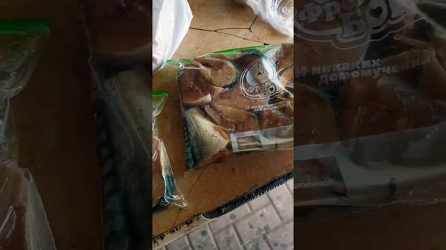 Отдых на природе Курахово база отдыха Золотое руно#золотоеруно#курахово
