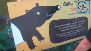 Зоопарк в Бангкоке, Манкиту на прогулке, лодка автобус. МанкиТайм в Таиланде