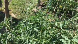 Как правильно натянуть затеняющую сетку.