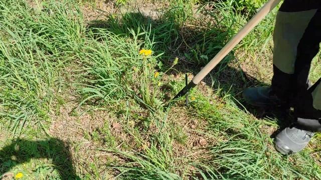 Корнеудалитель с упором и деревянным черенком. смотреть онлайн