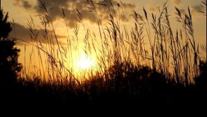 В чем секрет ЗВУЧАНИЯ BOSS GT-1? Действительно ли ЗВУК ПЛАСТМАССОВЫЙ? Выясняем!