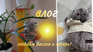 Одаём басика в лагерь! ☀ обзор посылок?