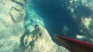 Подводная охота в средиземном море.