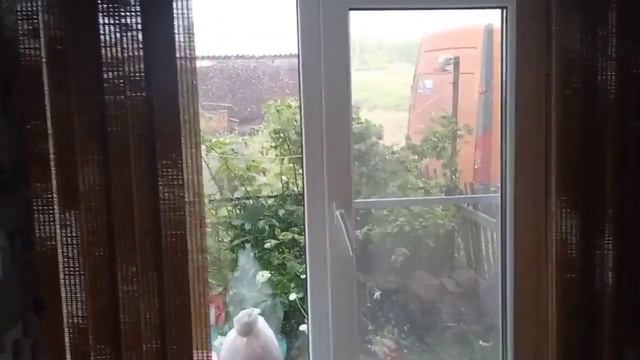 Гроза. Кемеровская Область! смотреть онлайн