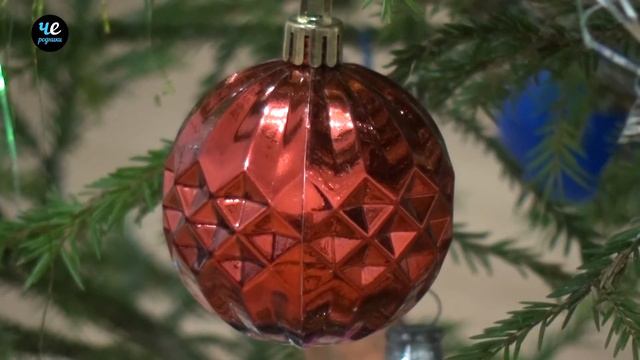 Новый год в ЗАГСе смотреть онлайн