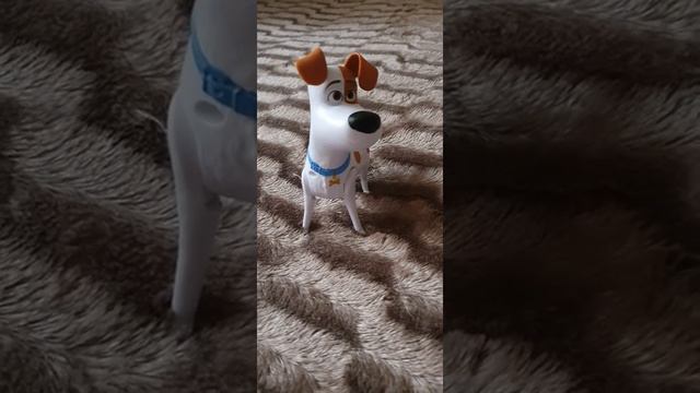 Джек Норрис поприветствовал ВСЕХ! смотреть онлайн