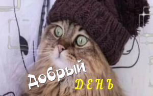 Музыкальная открытка Добрый День?Добрая Открытка!