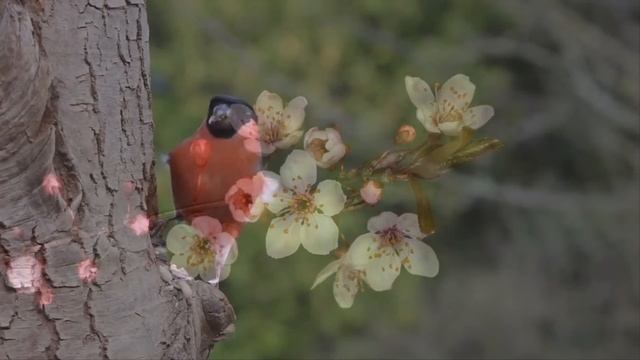 Я в командировку, буду завтра - я отправил жене сообщение а сам поехал к любовнице. А когда вернулс смотреть онлайн