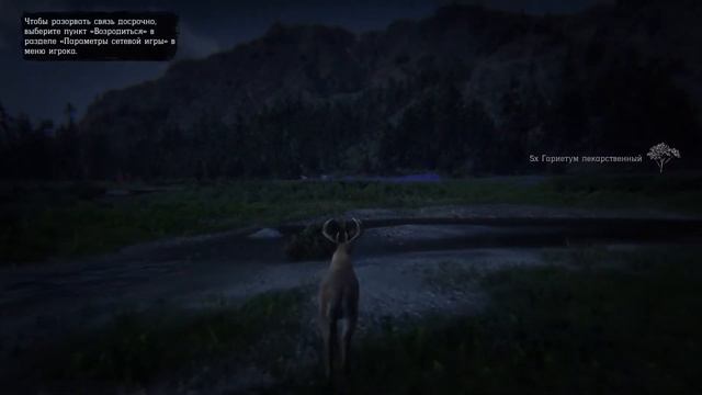 Red Dead Online Витализм: Олень. =) смотреть онлайн