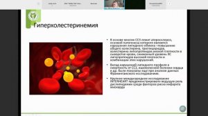 Баланова Ю.А.  Детерминанты здоровья населения