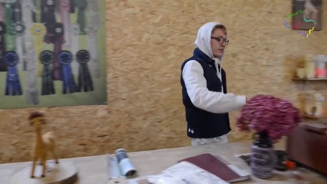 Шерсть как она есть: показываем единственное место в регионе, где разводят альпака смотреть онлайн