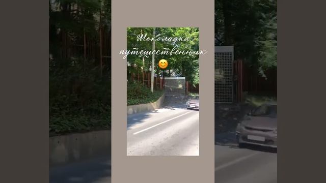 Питомник предлагает щенков йоркширского терьера шоколадного и цветного окраса. 89118592312. смотреть онлайн