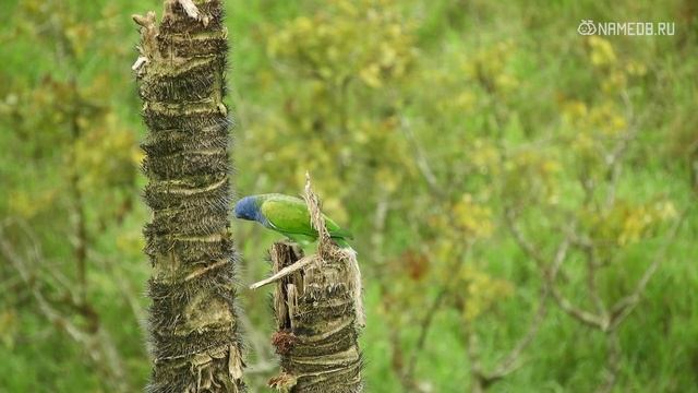Кому точно не стоит быть вместе: Топ-4 пары знаков Зодиака
