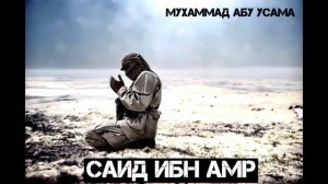 Мухаммад абу Усама    Саид ибн Амр