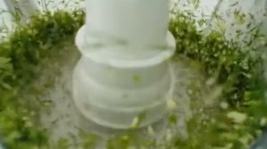 Кухонный комбайн BOSCH MCM 5529