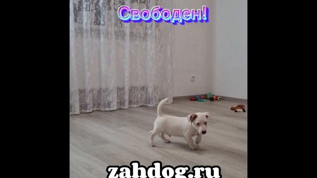 18 января 2023 г. смотреть онлайн