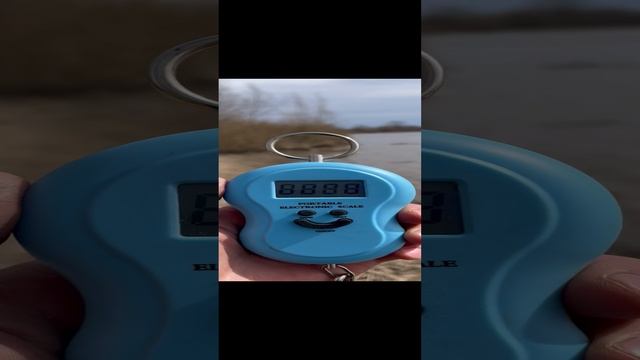 Бывают такие дни на рыбалке ?? смотреть онлайн