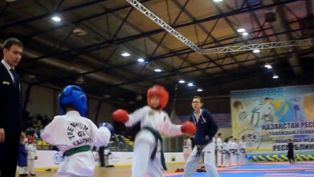 Taekwondo TIGERS team смотреть онлайн