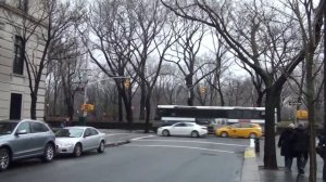 Frick Collection and Central Park - New York