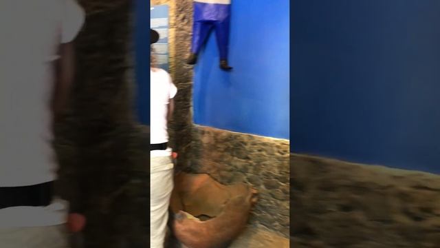 Дом музей Фриды Кало 2023 сентябрь. смотреть онлайн