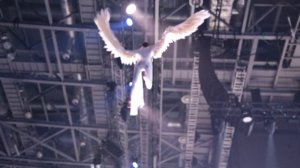 Фестиваль АЛИНА