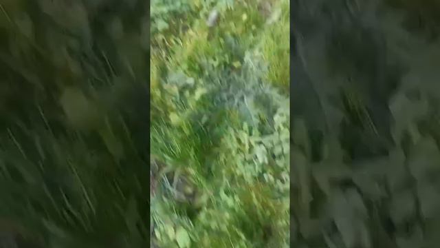 инопланетяне захватвают мир (6часть) смотреть онлайн