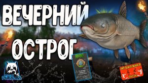 РР4/ рыбалка для души, ловим как универсал, общаемся 17.10.23
