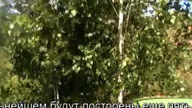 Корчевка леса. Июль 2012. Вощажниково